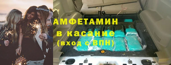 гидра Богородск