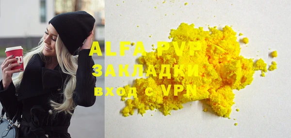 гидра Богородск