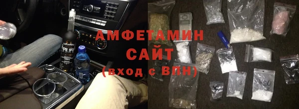 гидра Богородск