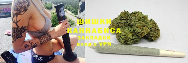 гидра Богородск