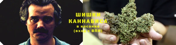 прущий лед Богданович