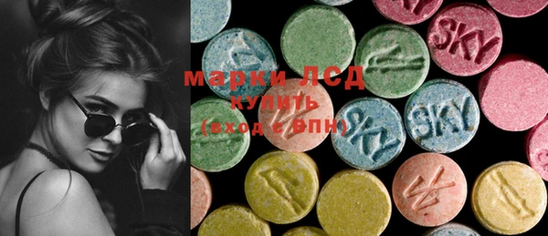 прущий лед Богданович