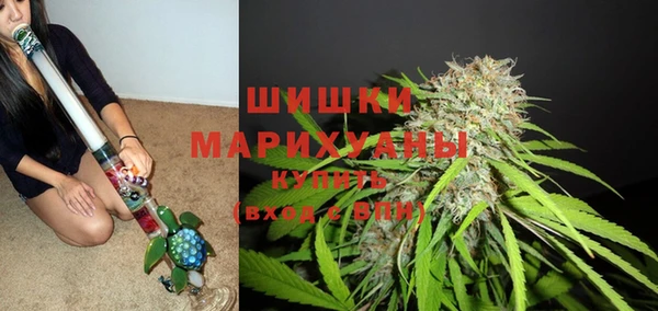 гидра Богородск