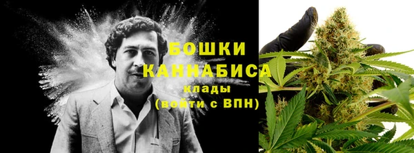 альфа пвп Нефтегорск