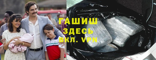 гидра Богородск