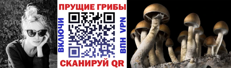 Псилоцибиновые грибы Magic Shrooms  hydra   Ильский 